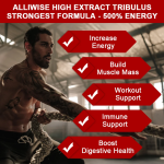 Benefits of Maca and Ginseng for energy and endurance